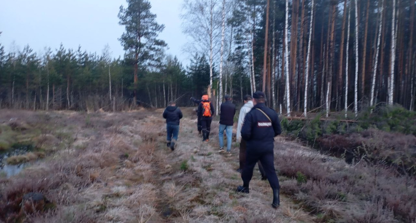 75-летний Сергей Каликин пропал в лесу под Нерехтой