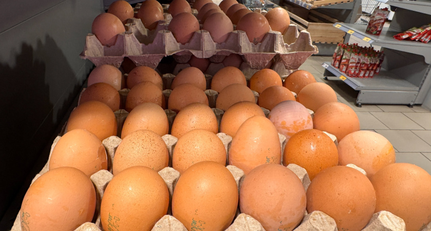 Что пенсионеры в "Заботливых ценах" и "Светофоре" покупают: заглянем в корзинку и в чек