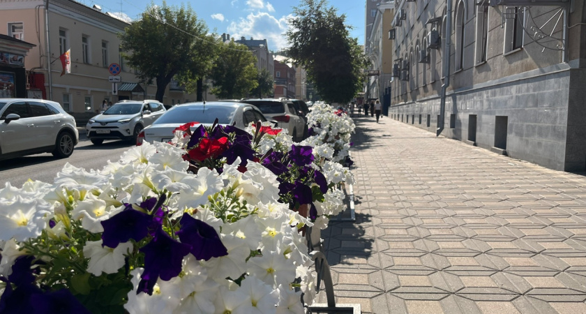 Стало известно, какая погода ждет костромичей в августе