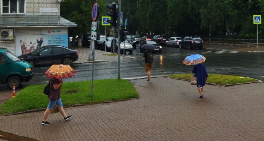 Первая неделя августа в Костроме будет дождливой