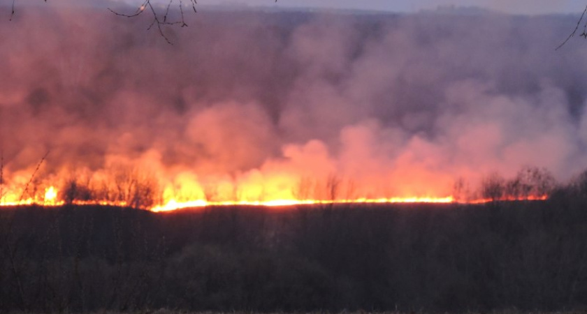 В Костромской области почти сутки тушили лесной пожар
