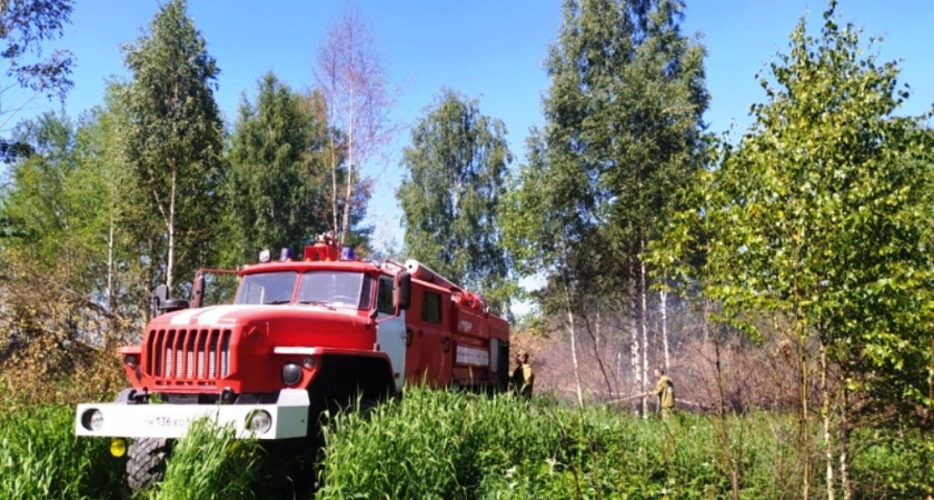 Лесной пожар в Чухломском районе локализован на площади 2,1 га