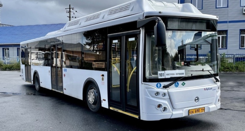 Автобус №101 из Костромы в Караваево меняет расписание