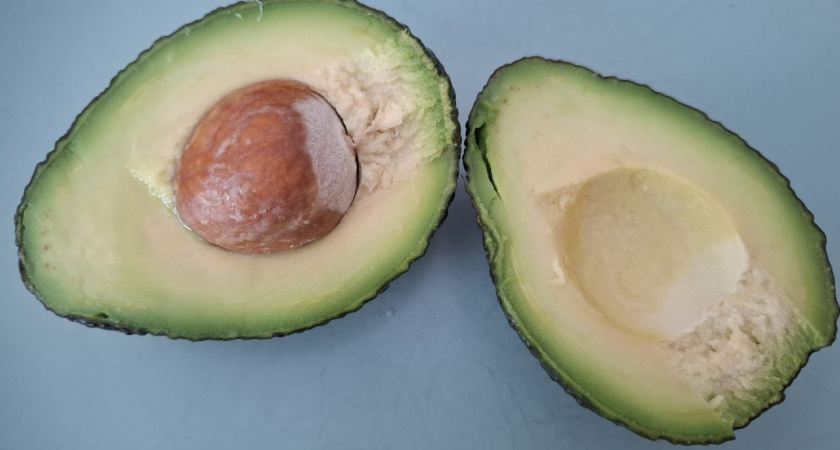 Будет ли плодоносить авокадо, выращенное из косточки - ответ эксперта: может, вы все делаете зря?