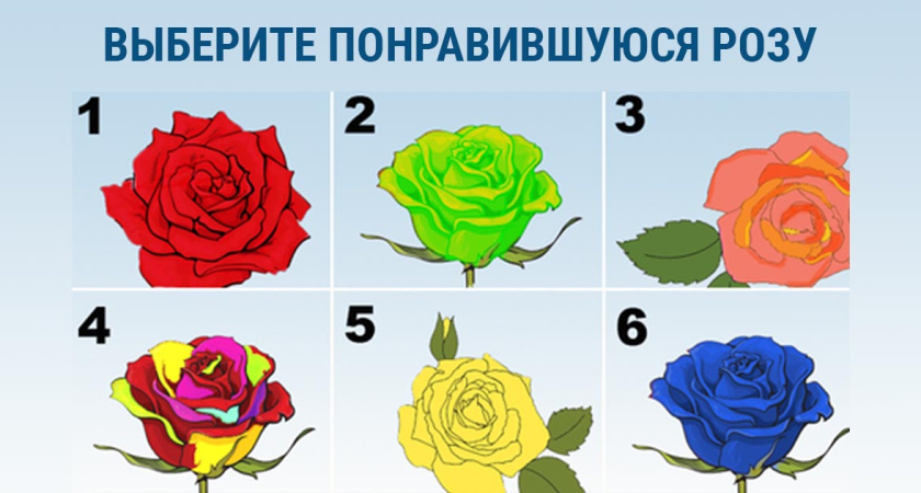 Выберите розу — и поймете, где вас поджидает удача: теперь вы точно станете успешным — точность 95%