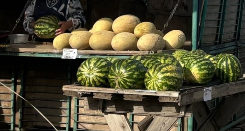 В Костромскую область завезли партию дынь с нарушениями