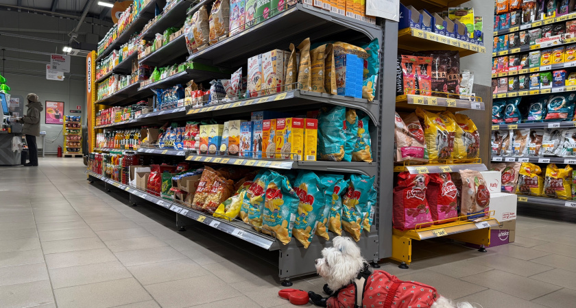 Друг-продавец раскрыл 4 "фишки": вот как правильно совершать покупки в "Магните" и "Пятерочке" — платим в 2 раза меньше