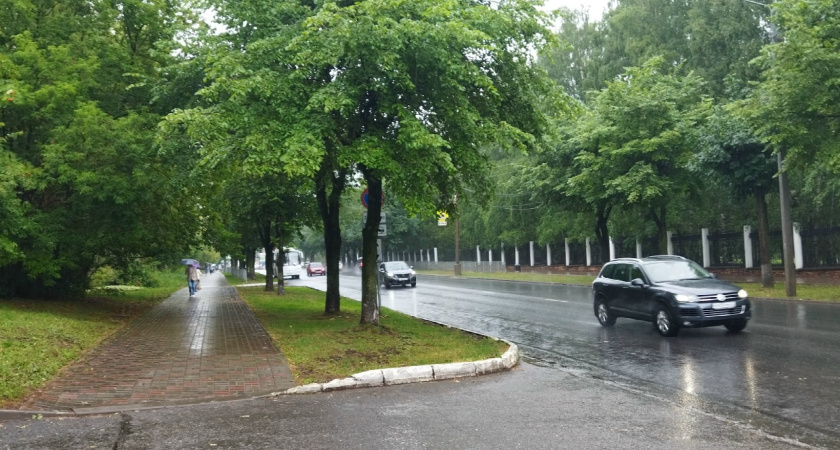 Костромчан предупреждают о ливнях и шквалистом ветре 9 августа