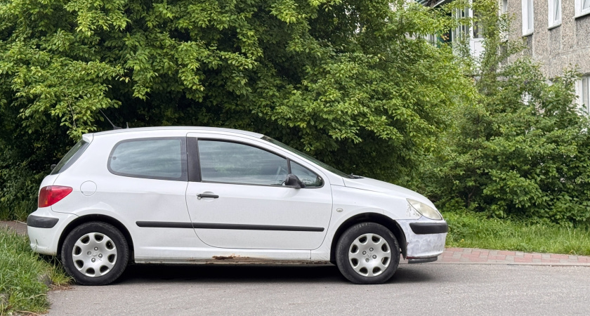 5 лет уже рыжиков не видел — как знакомый автомеханик смог избавиться от всей ржавчины