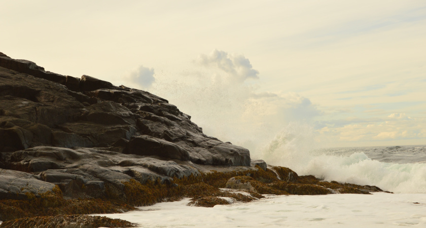 Заехал в забытый поселок на берегу Баренцева моря — был потрясен, как тут живут люди: честный отзыв