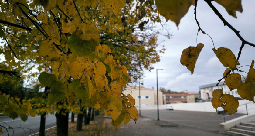 Костромскую область ожидает штормовая погода с грозами