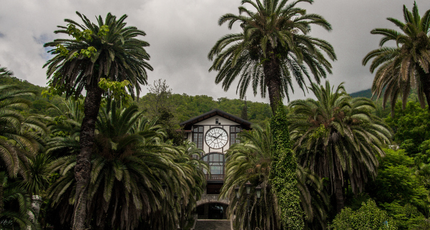 "Странно, что тебя еще не ограбили": основные минусы Абхазии — почему не нужно сюда ездить