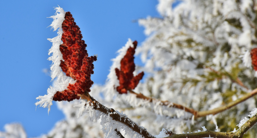 Такой зимы еще не было: синоптики дали прогноз на декабрь и январь