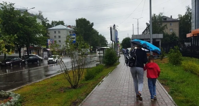 Стало известно, какая погода ждет костромичей 20-22 августа
