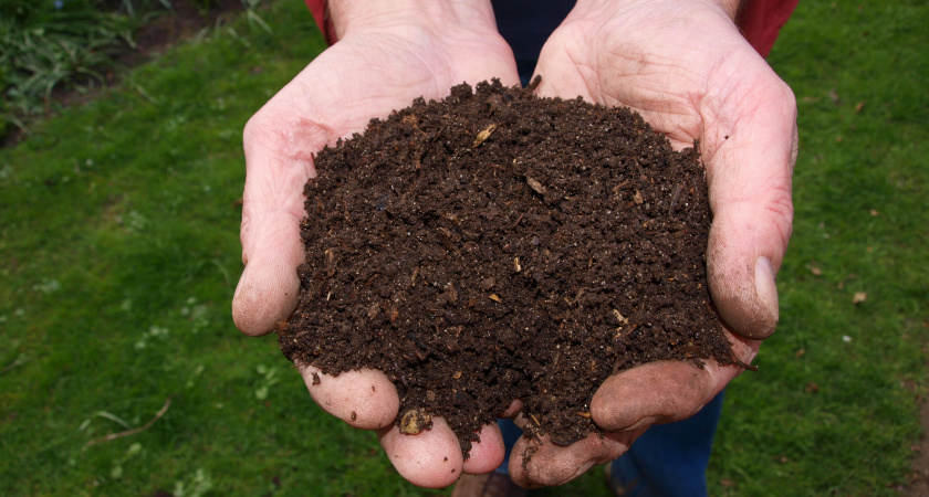 Даже кости и палки перегниют — добавляем в компост этот раствор — и к весне удобрение готово