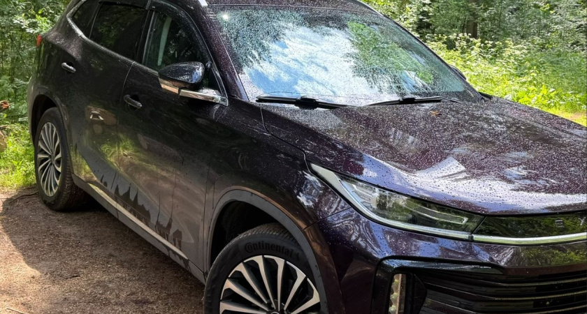 Что осенью сделать с «китайцем», чтобы он пережил российские морозы — 7 советов эксперта