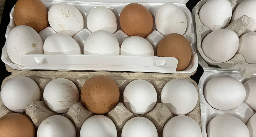 Взял в "Чижике" яйца за 69 рублей — дома выяснил, какие они — честный отзыв