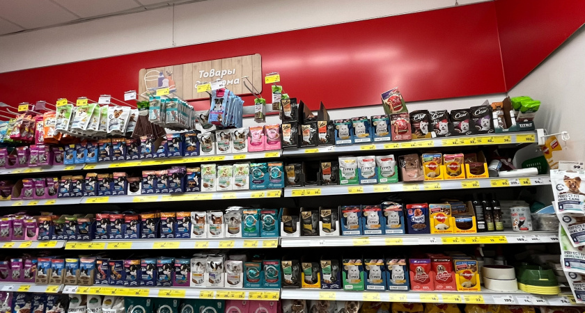 В "Чижике" завоз — "пушка": августовские новинки радуют и глаз, и кошелек