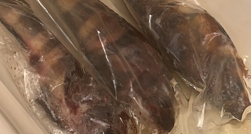 Попутчик выложил рыбу на стол — и весь вагон пропах: при этом мне есть бутерброды запретил — ему «воняет»