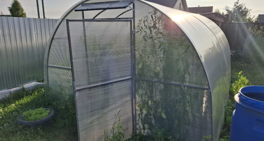 Вешаю занавески в теплицу — и живу припеваючи: за 20 лет не пожалела ни разу