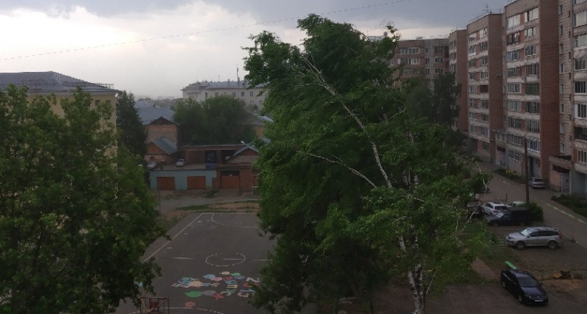 Костромичей предупреждают о сильном ветре