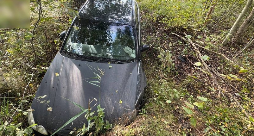 В Костромской области иномарка с 19-летним водителем и пассажиром вылетела в кювет