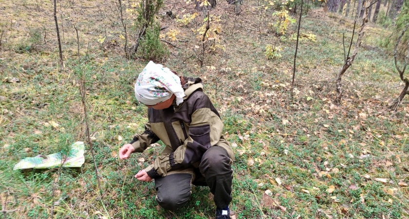 Ягодное царство: где в Костромской области можно набрать полные корзины черники