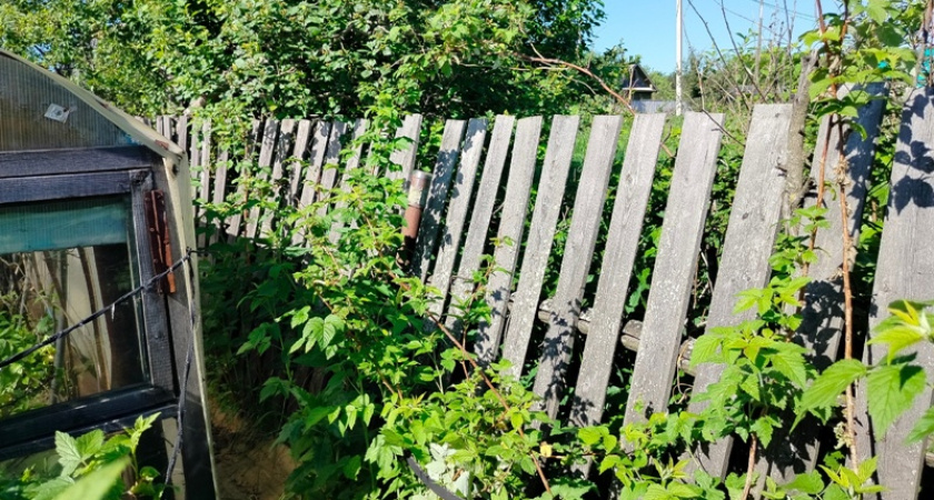 Костромич хотел взыскать 100 тысяч с соседа за сломанный забор