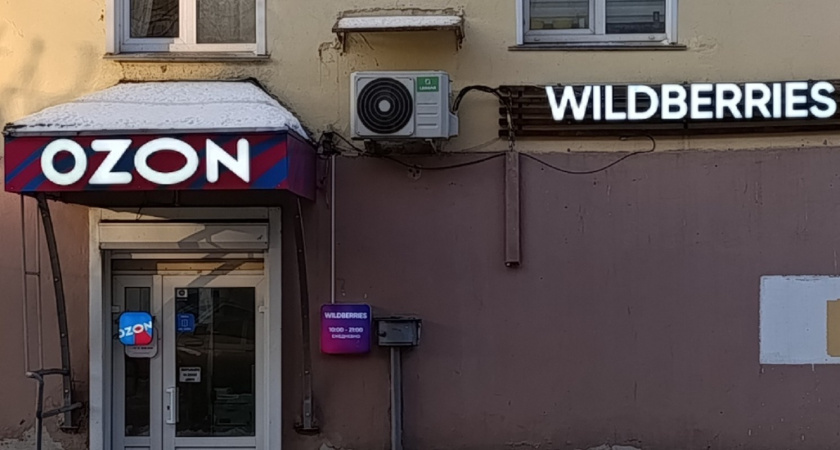 Эти товары с "Вайлдберриз" и "Озон" никогда не куплю — и вам не советую: мои разочарования