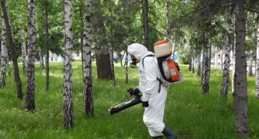 Костромские парки временно закрыты для посещения