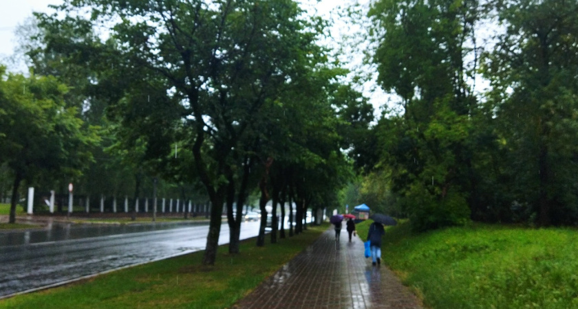 Облачно и небольшой дождь: стало известно, какая погода ждет костромичей 2 сентября