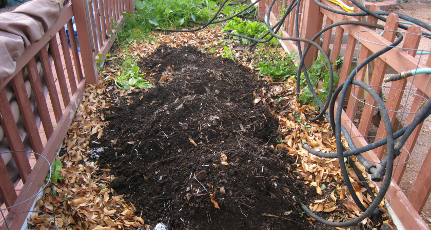 90% дачников совершают ошибку: как правильно готовить компост — советский эксперт Веселов раскрыл секрет