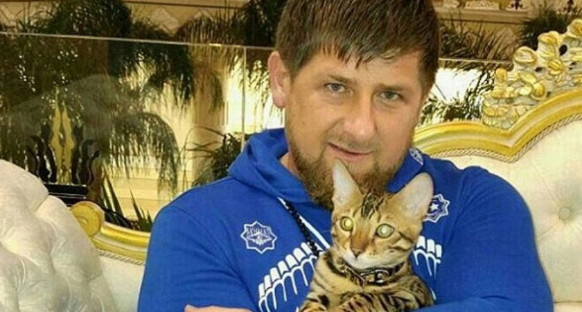 Почему Кадыров говорит «Дон» после каждого второго слова: расшифровка фирменного выражения