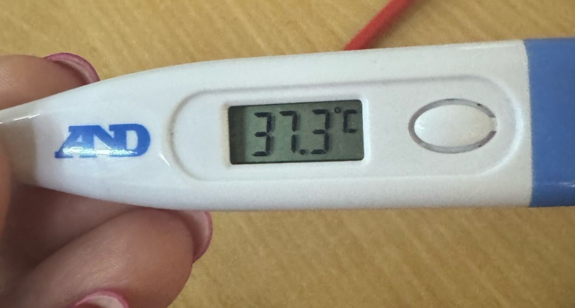 Электронный градусник стал работать неисправно — узнал 3 правила и все наладилось: о таком не пишут в инструкции