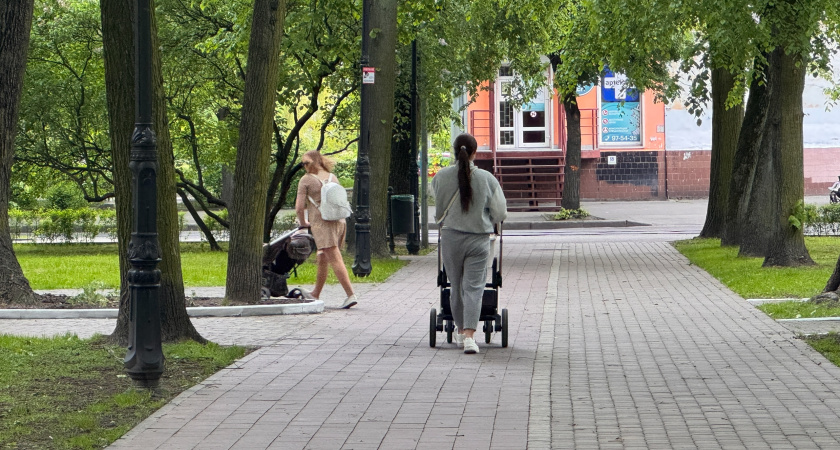 В Костроме ввели новые льготы для детей военнослужащих