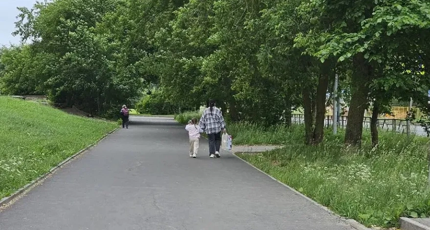 10 сентября в Костроме ожидается ясная погода без осадков