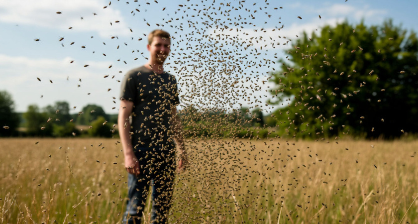 «Съедают заживо»: чем опасна северная мошка и почему местные жители боятся ее больше, чем морозов