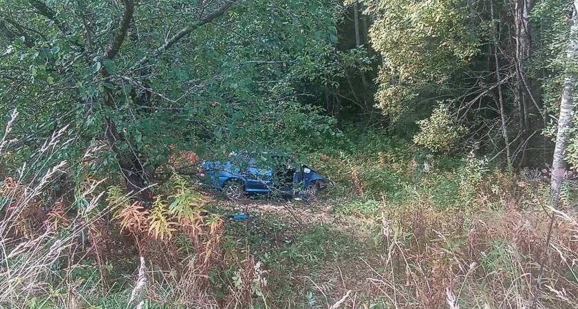 В Костромской области 23-летний пьяный водитель ВАЗ съехал в кювет