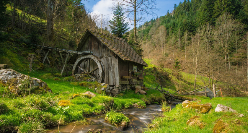 Двое мужчин вытащили из земли камень - а это оказалось кое-что другое: на окраине фермерского участка нашли настоящее сокровище