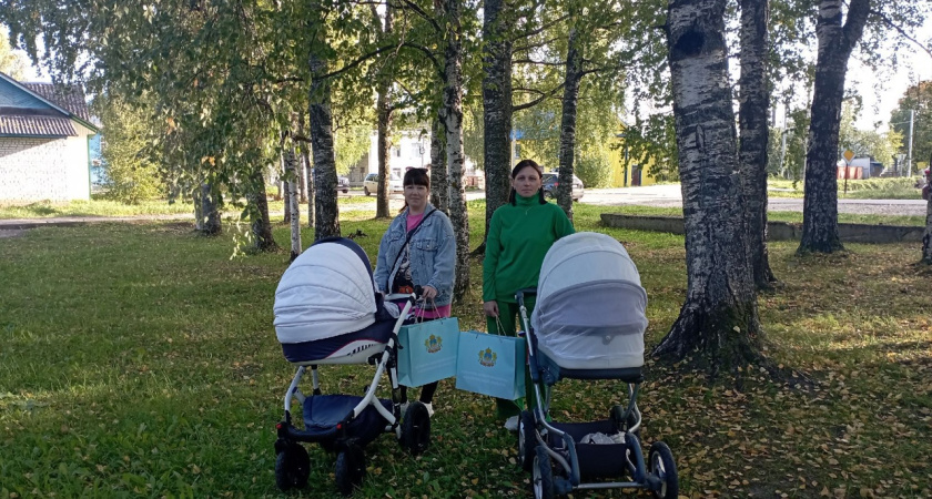 30 лет дружбы: в Костромской области почти одновременно две семьи стали многодетными родителями