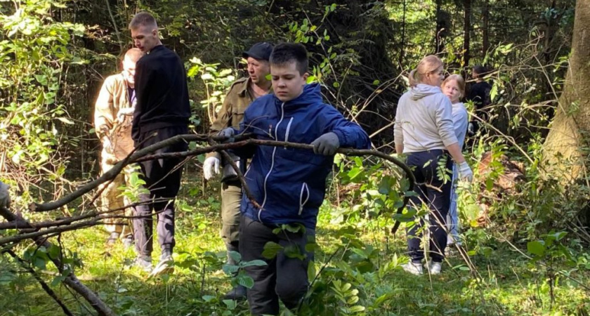 В Костромской области от мусора очистили девять гектаров леса