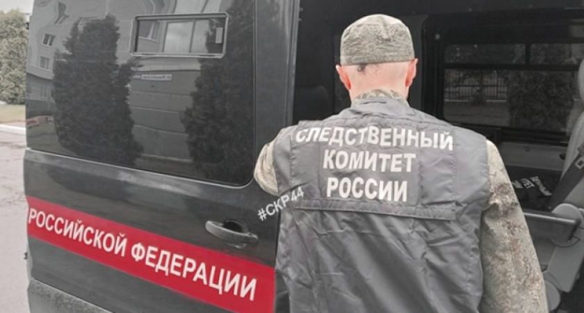 В Костромской области 15-летний подросток устроил стрельбу из пневматики в сквере