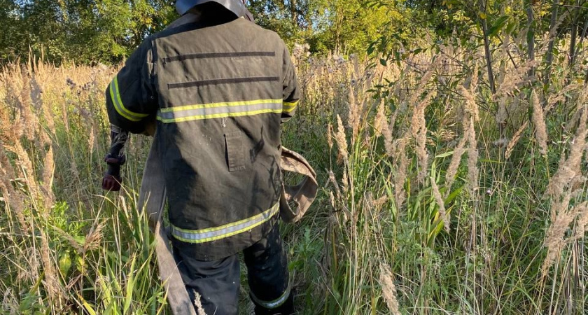 В Костромской области потушили торфяной пожар
