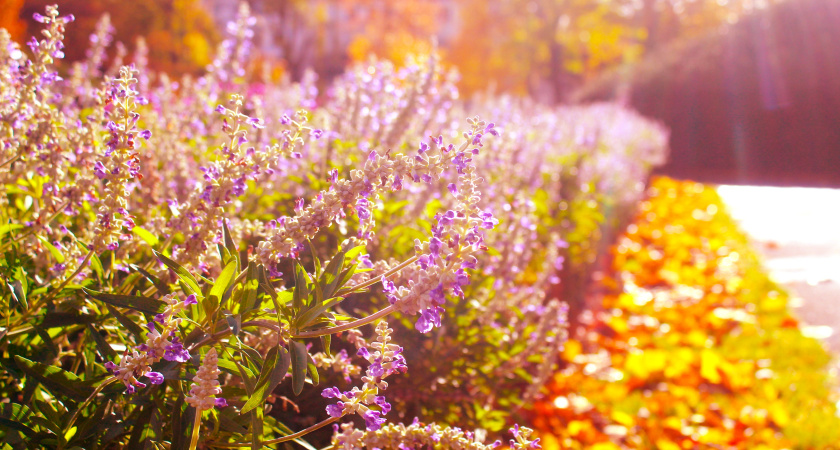 Что нельзя делать 18 сентября - иначе одолеют несчастья: народные приметы на день Кумохи Осенней