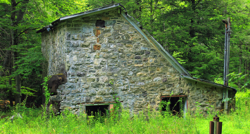 Нашли кирпичный сарай в лесу - внутри увидели глубокий спуск под землю: что было за запертой стальной дверью