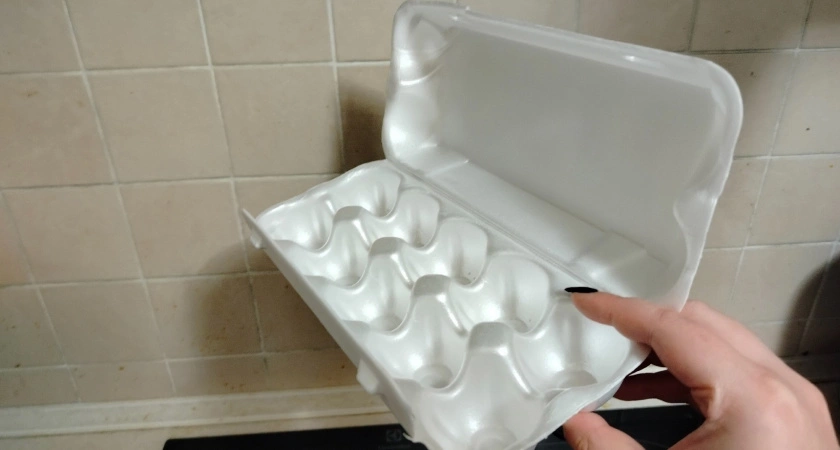 Смеялся над советом с лотками от яиц, а теперь весь погреб сухой и без плесени: лайфхак, который сохранил мне урожай