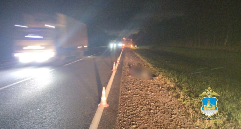 В Костромской области водитель автобуса насмерть сбил пешехода