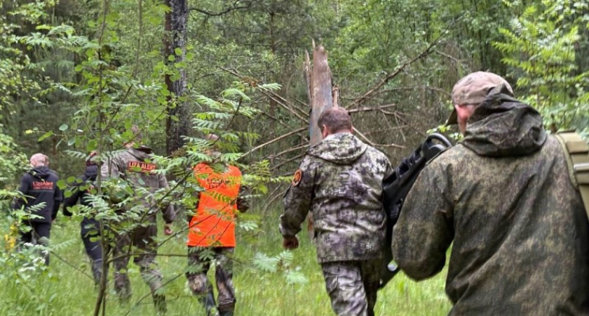 В Костромской области ищут 75-летнего грибника, который не вернулся из леса