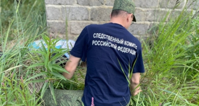 Полиция Нерехты пресекла незаконное культивирование и хранение марихуаны