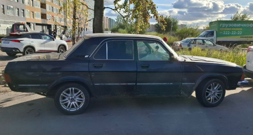 Все спрашивали, зачем мне этот хлам - а я откатал на "Волге" весь сезон: от моего решения ахнула вся родня